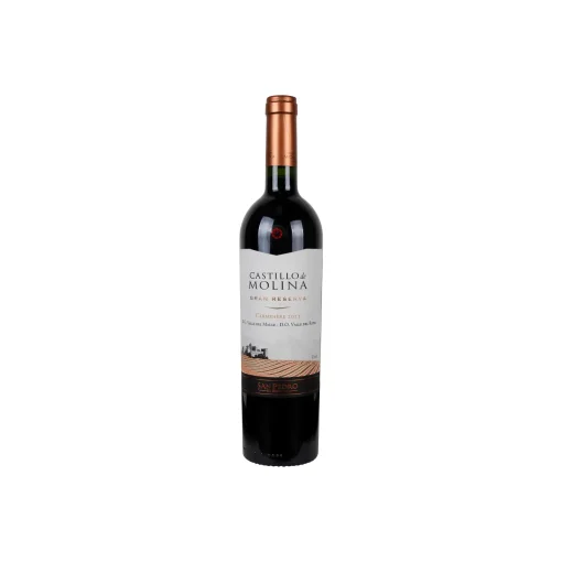 San Pedro Castillo Molina Carmenere