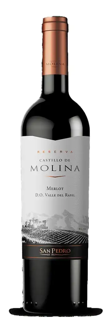 San Pedro Castillo Molina Merlot 1 - Sulanginaja San Pedro Castillo Molina Merlot 1