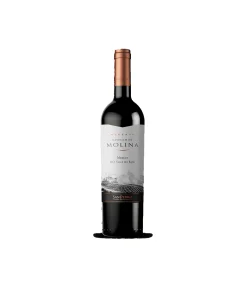 San Pedro Castillo Molina Merlot