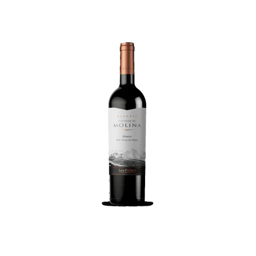 San Pedro Castillo Molina Merlot